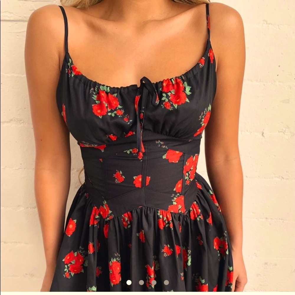 ISO: Tiger Mist Babydoll dress